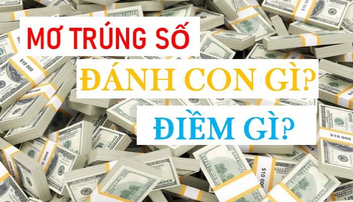 Giải mã nằm mơ thấy trúng số đánh con gì