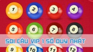 soi cầu vip 1 số duy nhất là gì