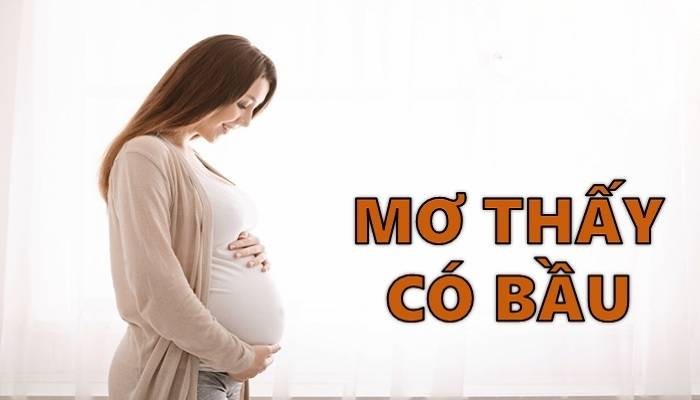 Nằm mơ thấy mình có bầu đánh số mấy