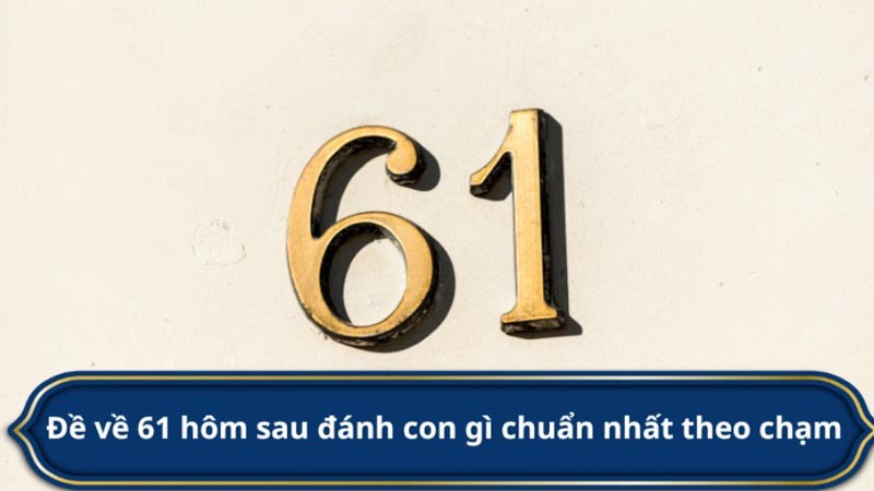 đề về 61 hôm sau đánh con gì chạm đề