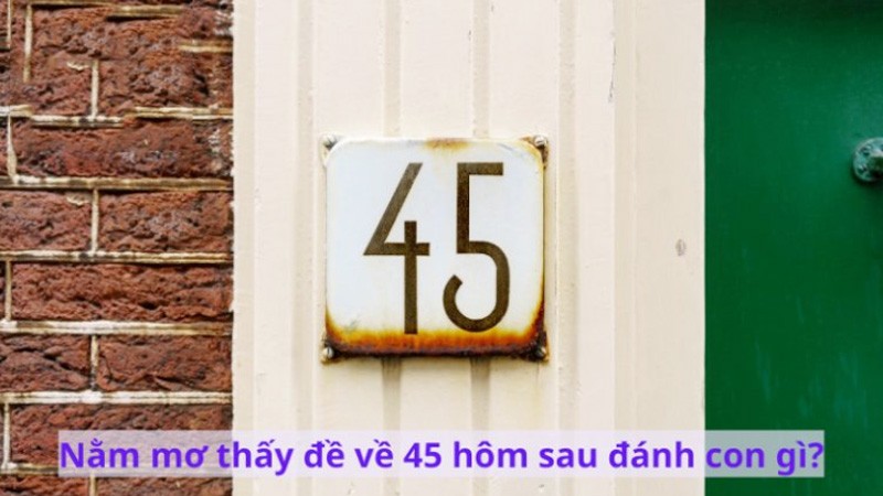 đề về 45 hôm sau đánh con gì theo chạm 