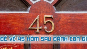 đề về 45 hôm sau đánh con gì theo ngũ hành