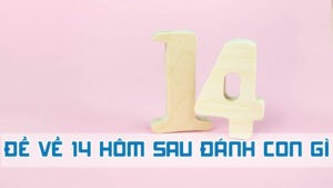 đề về 14 hôm sau đánh con gì hợp nhất