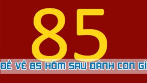 đề về 85 hôm sau đánh con gì dựa vào âm dương