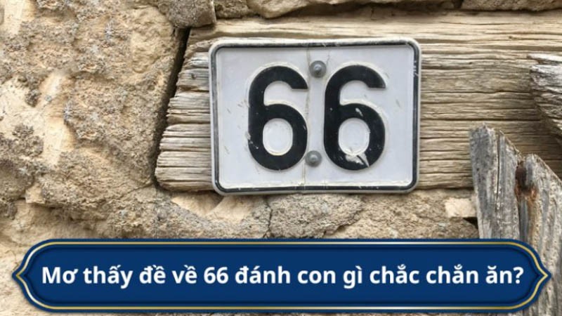 đề về 66 hôm sau về con gì dựa vào giấc mơ