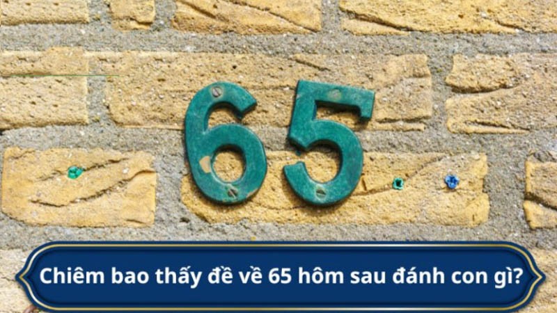 đề về 65 hôm sau đánh con gì trong giấc mơ