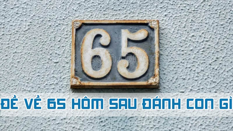 đề về 65 hôm sau đánh con gì theo biểu tượng