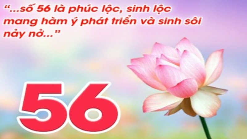 đề về 56 hôm sau ra con gì cho anh em 2024