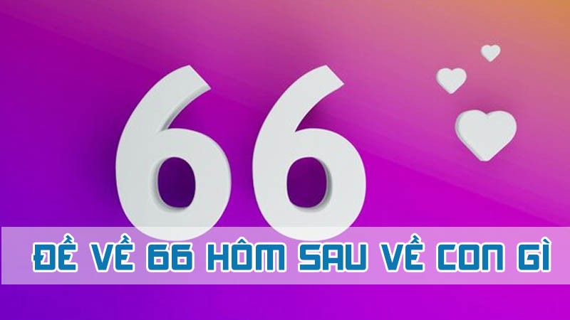 đề về 66 hôm sau về con gì theo chạm 2024